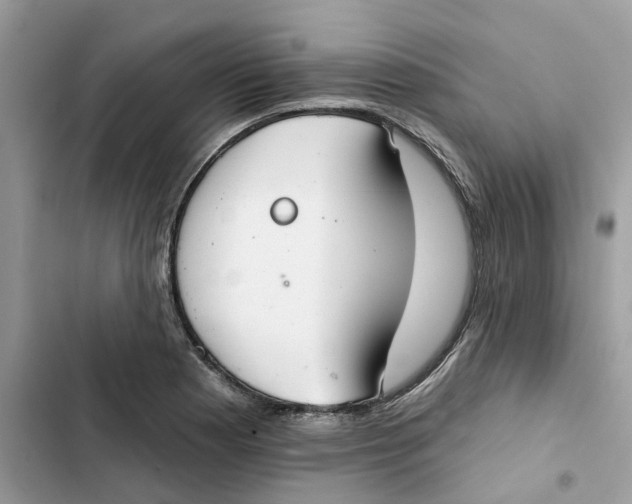 X0000103281177200809191759