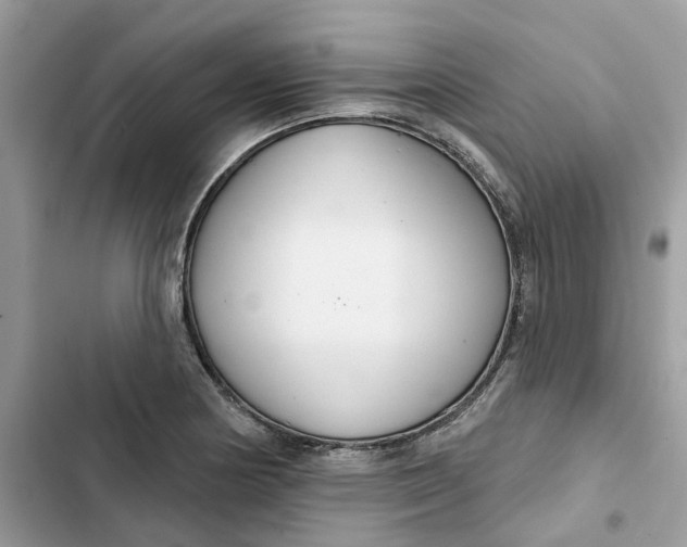 X0000103281178200809191759