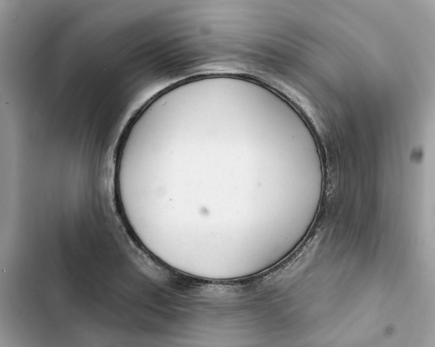 X0000103281179200809191759