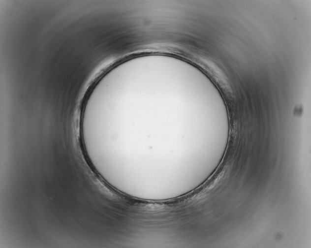 X0000103281180200809191759