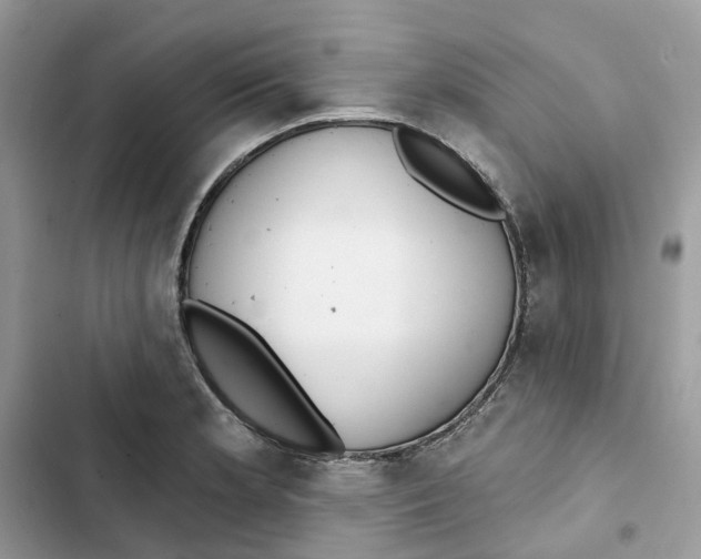 X0000103281181200809191759