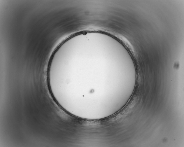 X0000103281183200809191759