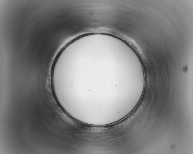 X0000103281184200809191759