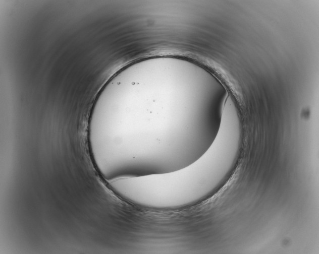 X0000103281185200809191759