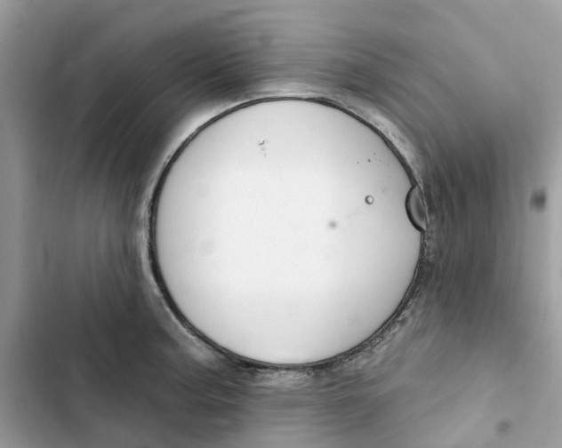 X0000103281187200809191759