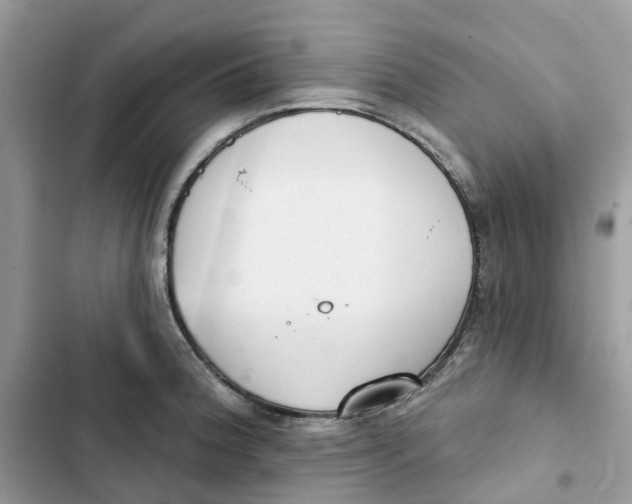 X0000103281188200809191759