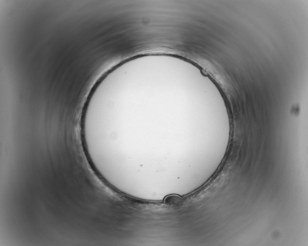 X0000103281189200809191759