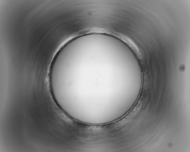 X0000103281190200809191759