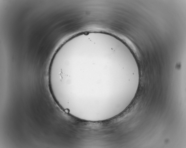 X0000103281191200809191759