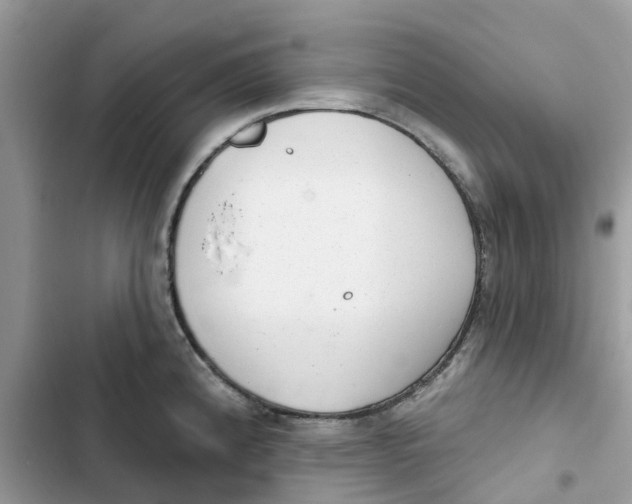 X0000103281192200809191759