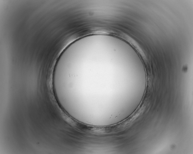 X0000103281194200809191759