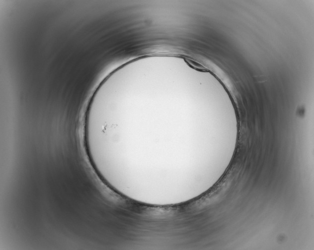 X0000103281195200809191759