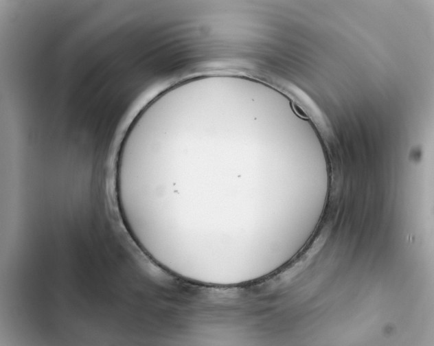 X0000103281196200809191759