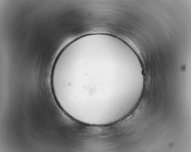 X0000103281197200809191759