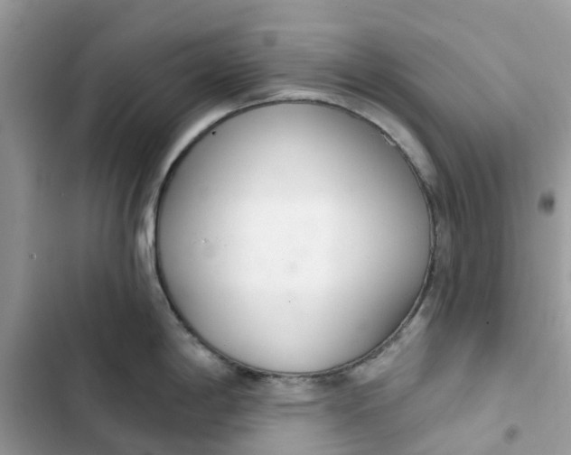 X0000103281198200809191759