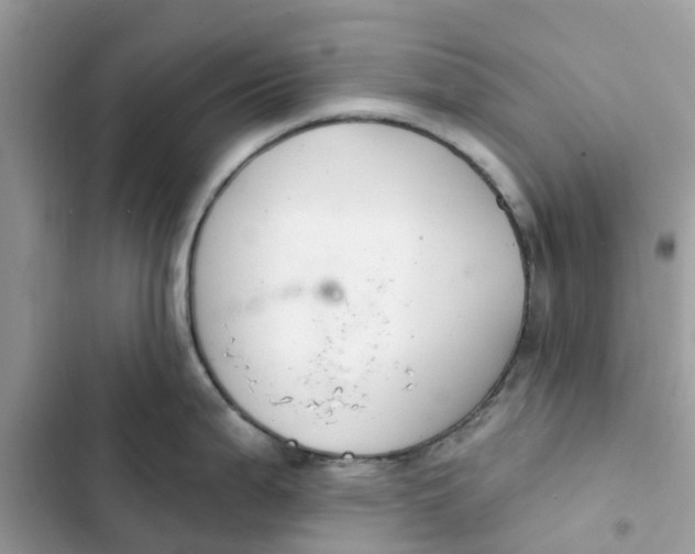 X0000103281199200809191759