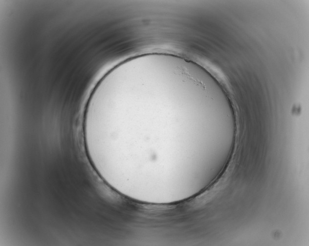 X0000103281200200809191759