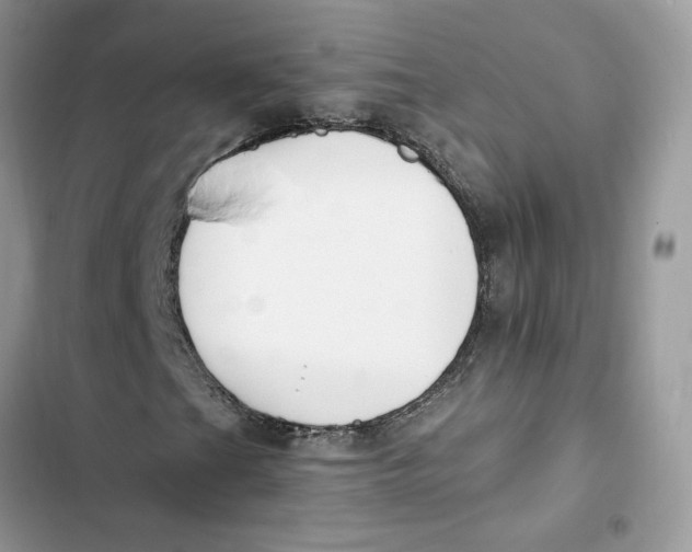 X0000103281201200809191758