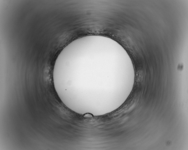 X0000103281202200809191758