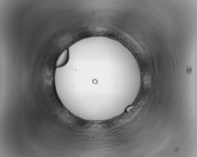 X0000103281204200809191758