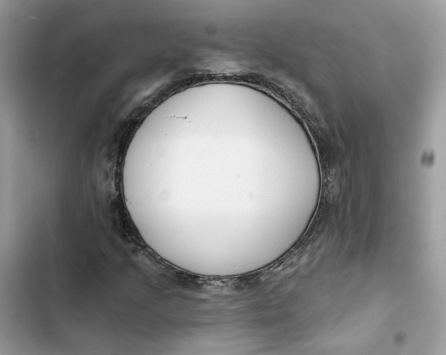 X0000103281205200809191758