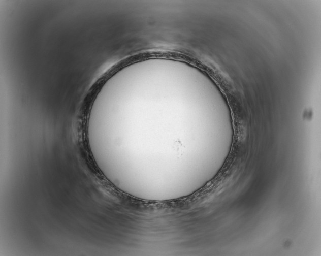 X0000103281208200809191758