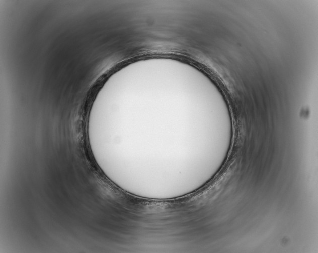 X0000103281211200809191758