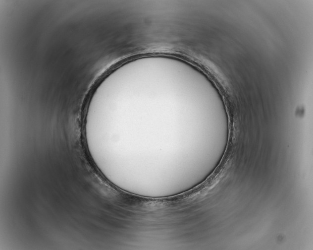 X0000103281212200809191758