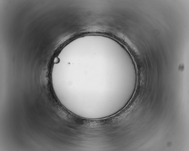 X0000103281213200809191758