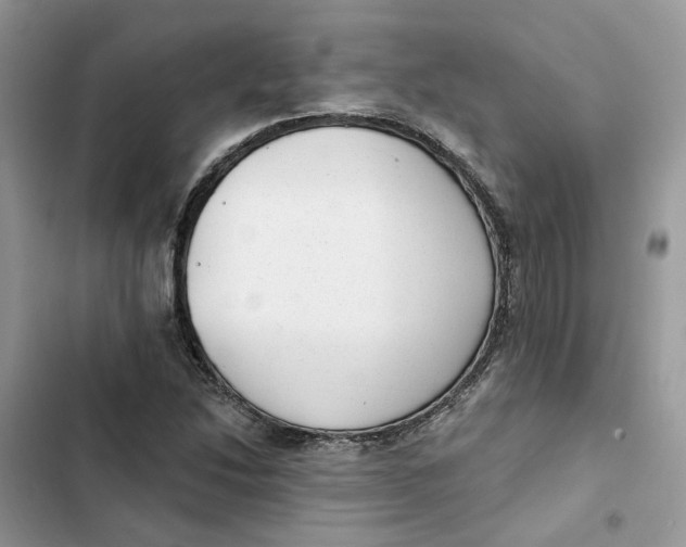 X0000103281214200809191758