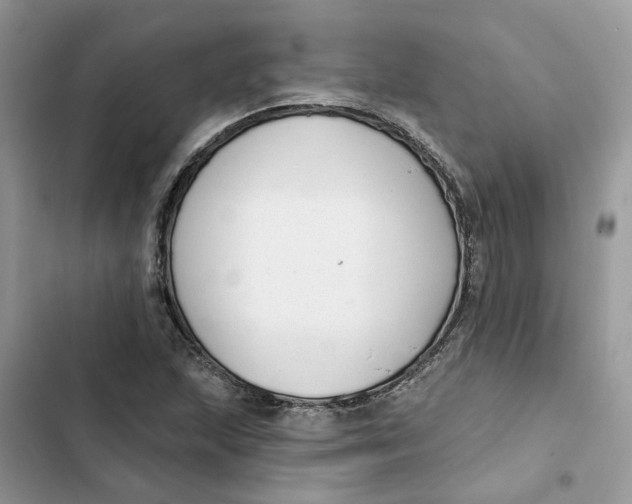 X0000103281215200809191758