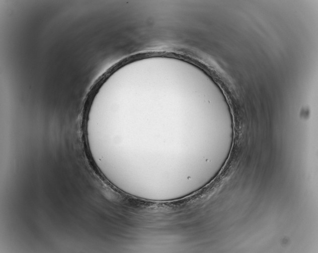 X0000103281216200809191758