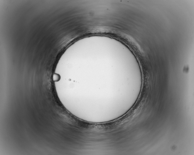 X0000103281217200809191758