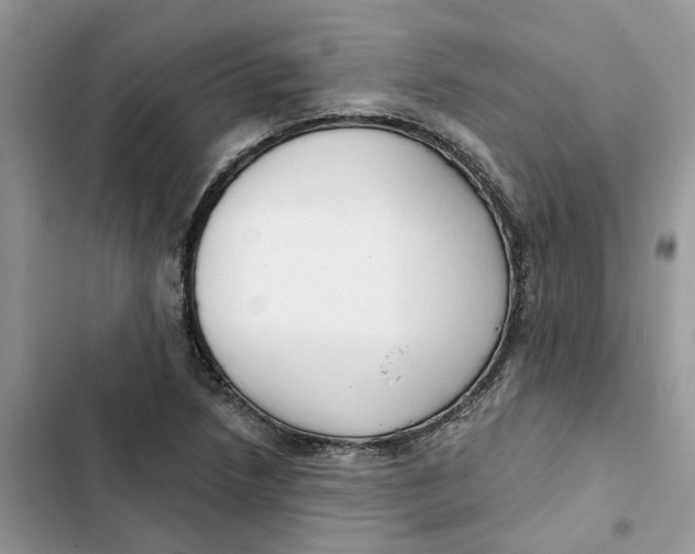 X0000103281218200809191758