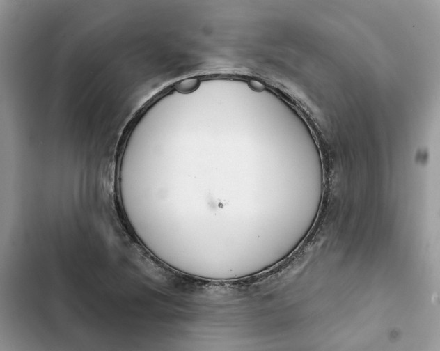 X0000103281220200809191758