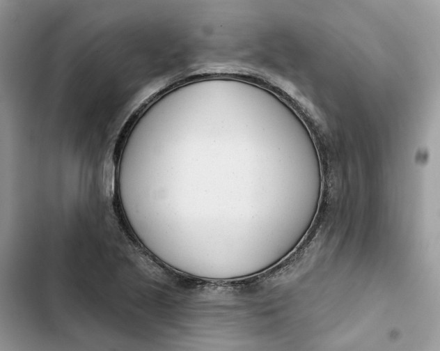 X0000103281221200809191758