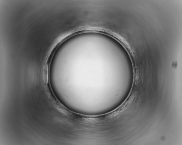 X0000103281223200809191758