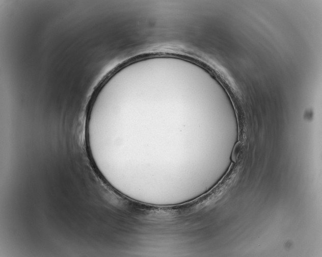 X0000103281224200809191758