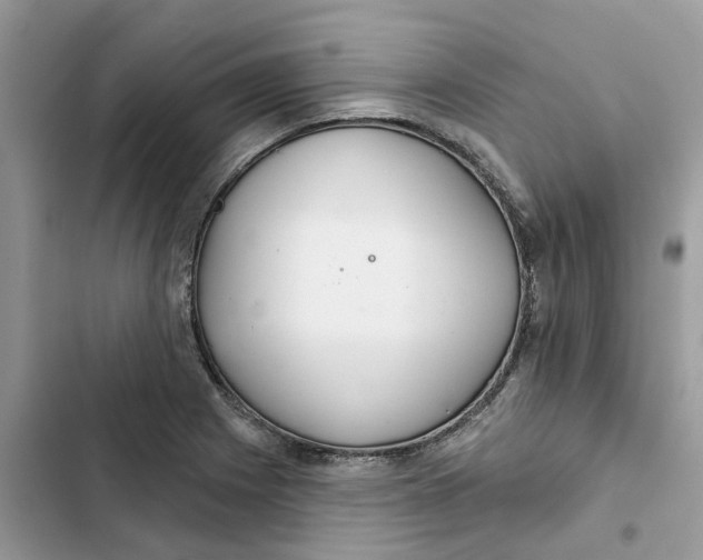 X0000103281225200809191758