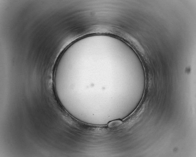 X0000103281226200809191758