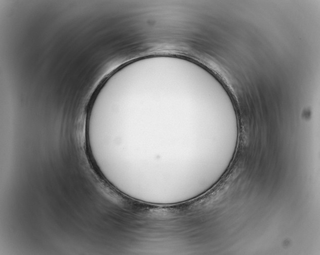 X0000103281227200809191758