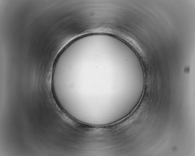 X0000103281228200809191758