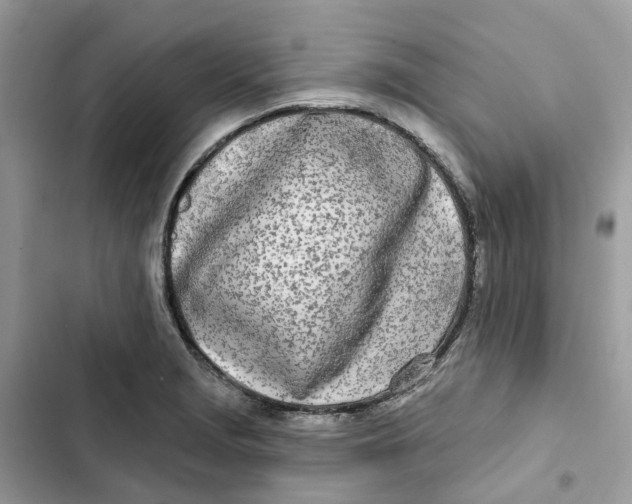 X0000103281229200809191758