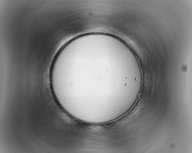 X0000103281230200809191758