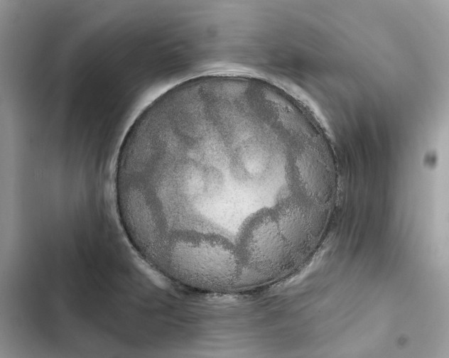 X0000103281231200809191758