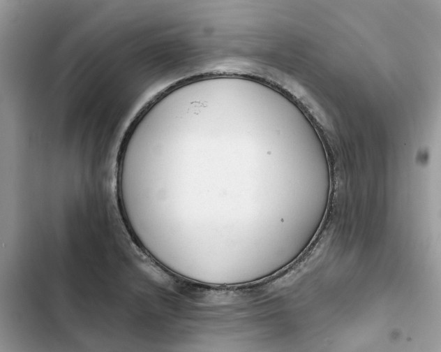 X0000103281232200809191758