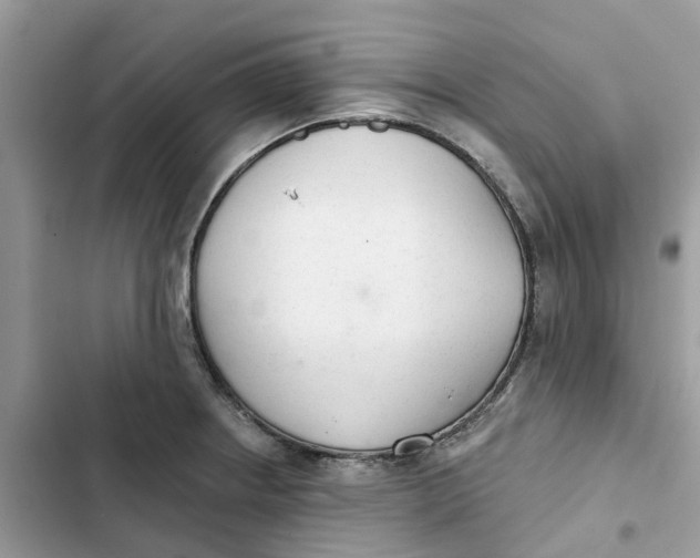 X0000103281234200809191758