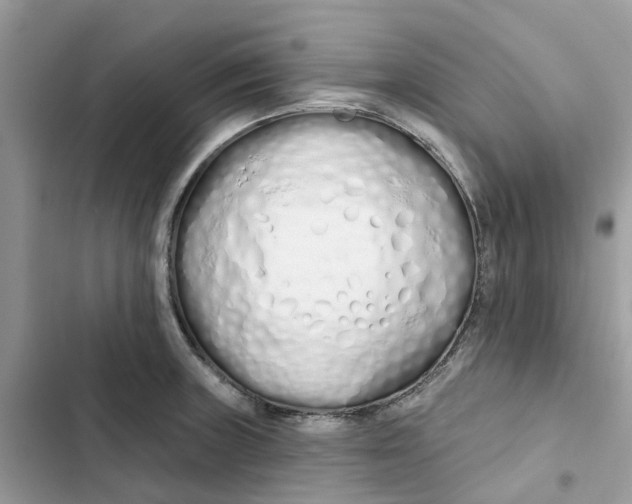 X0000103281235200809191758