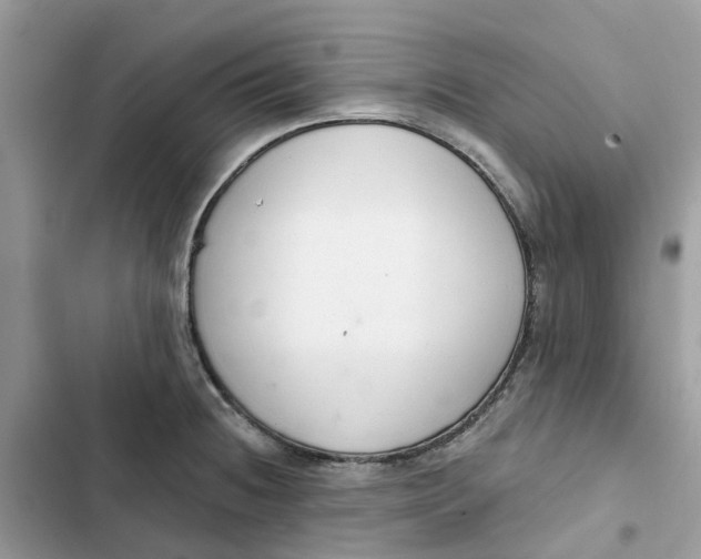 X0000103281236200809191758