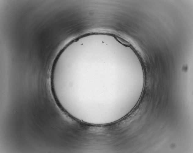 X0000103281237200809191758